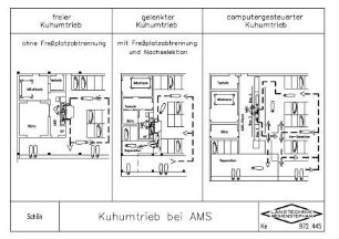 Kuhumtrieb bei AMS