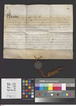 Seligenstadt: Alexander papa IV. confirmat incorporationem ecclesie in Selgenstadt a Gerhardo archiepiscopam Moguntino monasterio in Selgenstadt f...