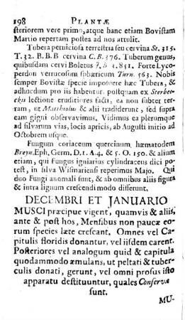 DECEMBRI ET JANUARIO.