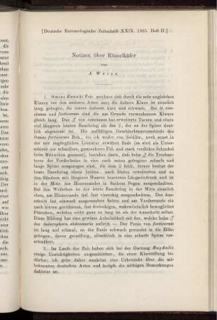 Notizen über Rüsselkäfer