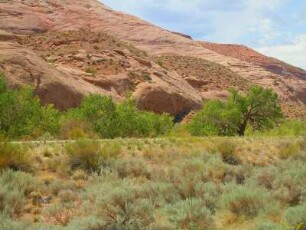 Landschaft in der Gegend der Irish Canyons am Highway 95