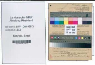 Entnazifizierung Ernst Schroer , geb. 18.09.1907 (Buchhalter)