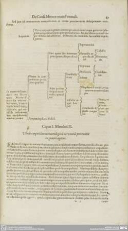 De Causa Meteororum Formali 2.