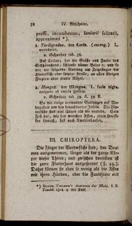 III. Chiroptera
