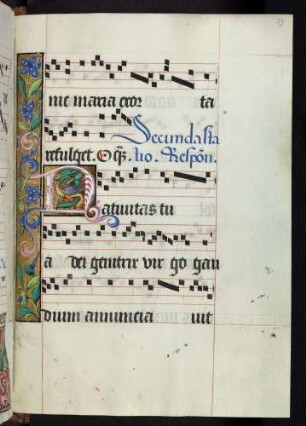Bordüre, Zierinitiale: N(ativitas tua dei genitrix virgo)