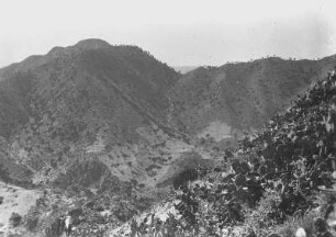 Opuntien und Kandelaber-Euphorbien : Berglandschaft. Blick in ein Tal mit Kakteen. Opuntien und Kandelaber-Euphorbien