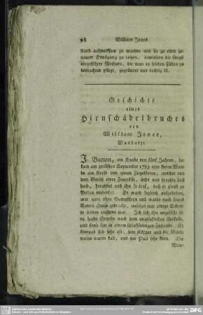 Geschichte eines Hirnschädelbruches