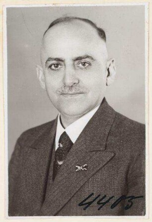 Peter Hayo, Vermessungssteiger