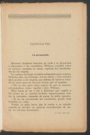 Capítulo VIII - La persecución