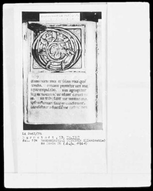 Psalterium — Initiale D (ominus illuminatie), Folio 19 verso