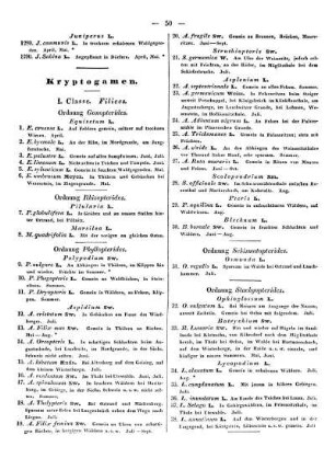 Kryptogamen.