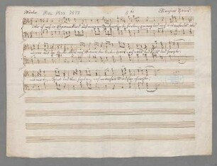 2 Lieder - BSB Mus.ms. 7077 : [without title]