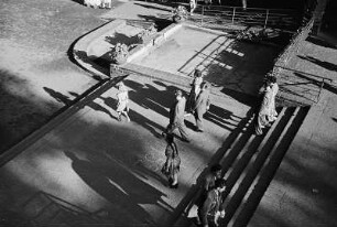 Schatten von Zoobesuchern auf einer Treppe