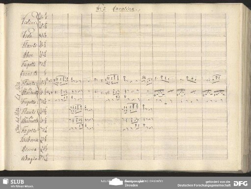 Cavatina: "Qualverfolgt wo find ich Ruhe"