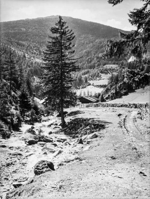 Bergweg : Ein Bergweg an einem Bach mit Blick über einen Wald im Tal mit Berghütte