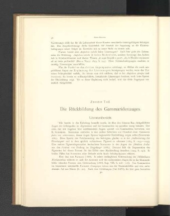 Zweiter Teil. Die Rückbildung des Gammaridenauges