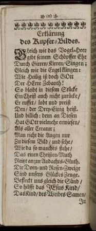 Erklärung des Kupfer-Bildes.