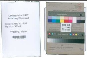 Entnazifizierung Walter Wuelfing , geb. 15.04.1908 (Richter)