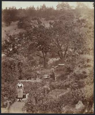 Dresden-Loschwitz. Die Ehefrau des Fotografen Ida Kotzsch und ihre Schwester Alma im Garten der Familie Kotzsch.