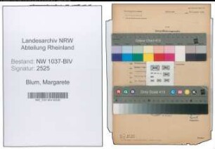 Entnazifizierung Margarete Blum , geb. 14.03.1899 (Lehrerin)