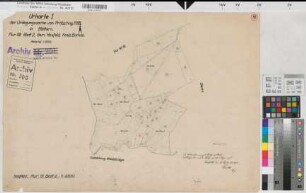 Hoxfeld (Borken), Umlegung Pröpsting, Bl.18 Urkarte I Hoxfeld Flur 13,2