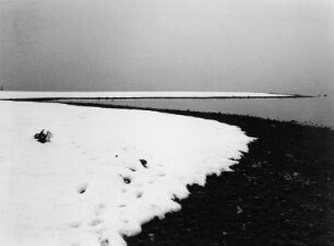 Verschneites Ufer des Bodensees