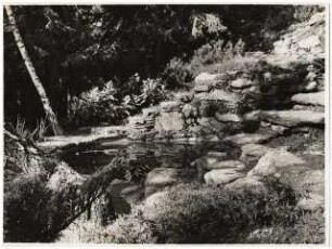 Garten Stuiber Böhmerwald: Gartenteich