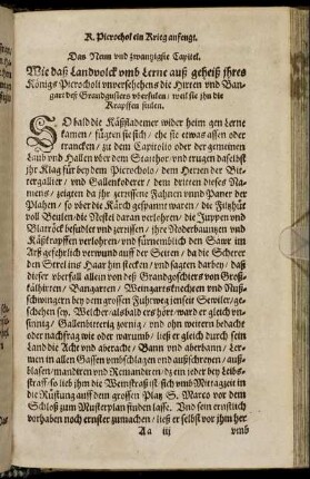 Das Neun und zwantzigste Capitel.