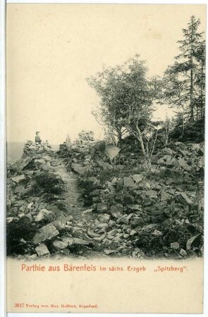 Bärenfels. Spitzberg