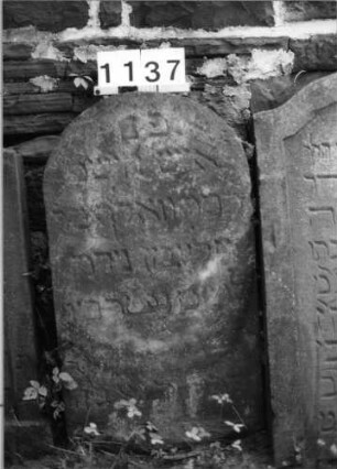 Grabstein 1137 (Index: 99630640) Material: Sandstein Zustand: stark verwittert mit Textverlust Maße HxBxT: 92x51x11 cm Beschreibung: Stele mit Rundbogenabschluß: Grabstein 1137