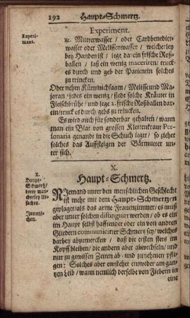 X. Haupt-Schmertz
