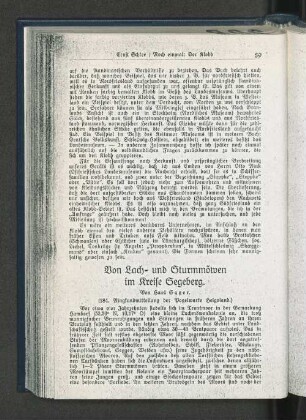 Von Lach- und Sturmmöwen im Kreis Segeberg