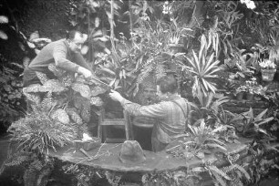 Reparaturarbeiten im Gewächshaus im Botanischen Garten