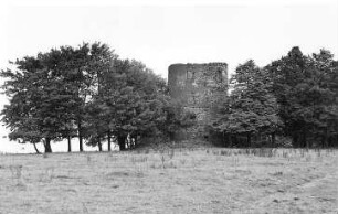 Vysoký (Hohenwald). Holländermühle, Ruine