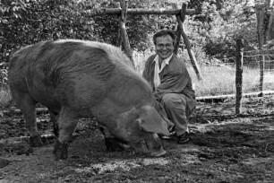 Hof von Günther Fielmann: Besitzer hockend bei der Fütterung von Schwein Borsti