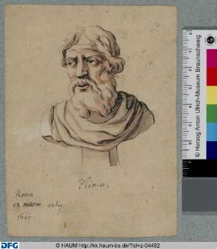 Büste des Plinius (des Älteren oder Jüngeren?)
