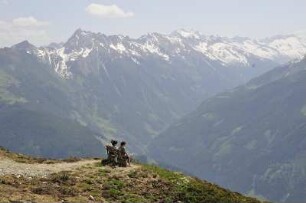 Wandergebiet Penken : Aufgenommen am 26. Mai 2009 im Wandergebiet Penken bei Mayrhofen (Tirol)