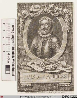 Bildnis Luís Vaz de Camões