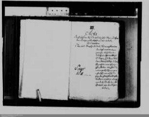 Verfahren vor dem Reichshofrat über den Ehevetrag der Fürstinwitwe Leopoldine Ernestine von Nassau-Siegen, geborene Gräfin von Hohenlohe-Bartenstein, und ihre Schwangerschaft