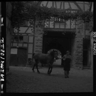 Riquewihr