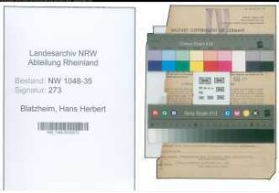 Entnazifizierung Hans Herbert Blatzheim , geb. 21.11.1905 (Kaufmaennischer Direktor)