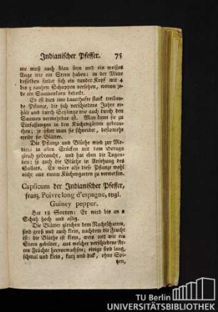 Capsicum der Indianischer Pfeffer, franz. Poivre long d'espagne, engl. Guiney pepper.
