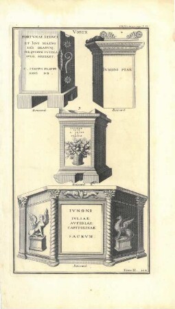 Grafik "VOEUX"