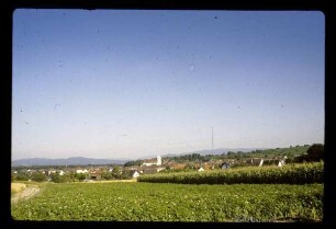 Blick auf Gottenheim