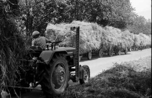Ihringen: Junge auf Traktor bei Erntewagen