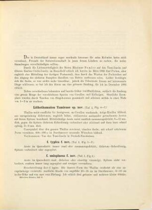 Neue Kalkalgen von Deutsch-Neu-Guinea (Kaiser Wilhelms-Land)