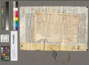 Päpstliche Provision für Theodor Henricus Beumer.