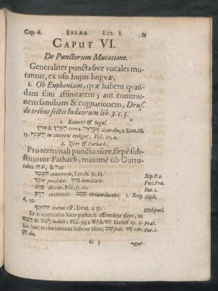 Caput VI. De Punctorum Mutatione