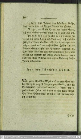 Von den schnellsten Vögeln