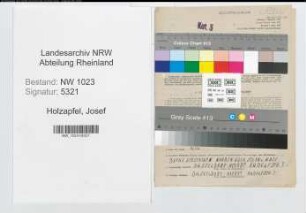 Entnazifizierung Josef Holzapfel , geb. 30.07.1909 (Arbeiter)